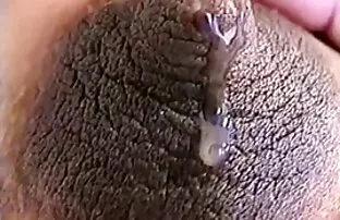 XXX memeli doctor sex izle bölümünden ücretsiz bir video indirmek için - oynatıcıdaki