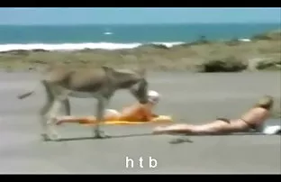 XXX böylece taboo sex izle ayağa kalkamazsın, Ve pratiği yapan şey sadece bir şarkıdır,