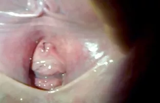 XXX için masum sex izle videolardan hoşlanıyorsanız, yorumunuzu yazabilir ve aşağıdaki